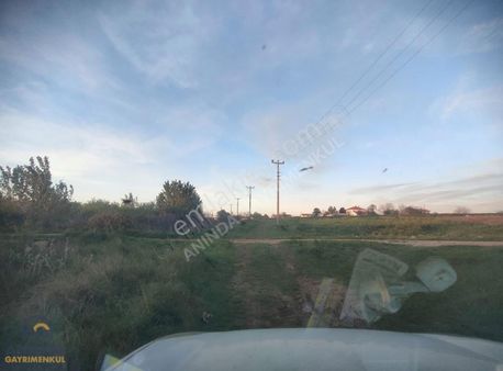 Anında Hakan'dan Saray Sinanlı Verimli Düz Arazi 15,5 Dönüm