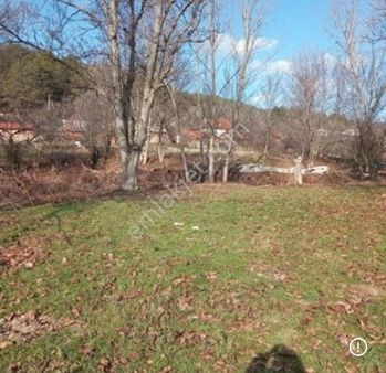 Göynük Sarılar Köyü Sifyanlar Mah 425 M2 Satılık Bahçe