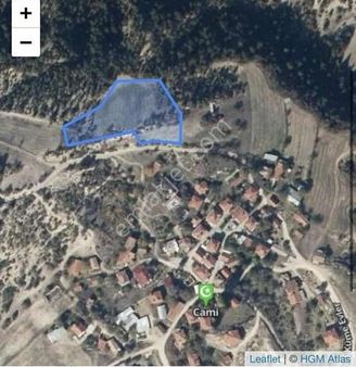 Göynük Karaardıç Köyünde İmar Sınırları İçerisinde 4639 M2 Arazi