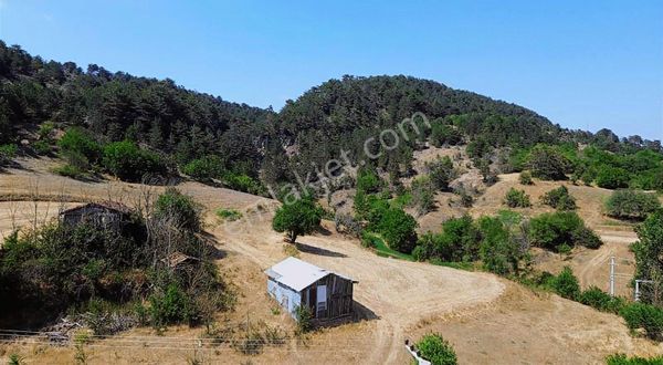 Göynük Çaylak Köyünde 1516 M2 Satılık Samanlık Ve Arsası