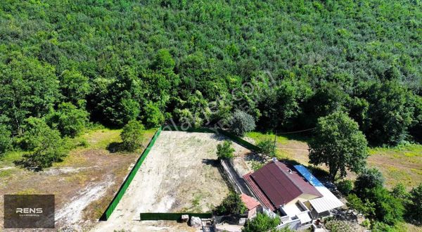 Rens Gayrimenkul'den Ahatlı'da Tek Tapu Orman Manzaralı Tarla