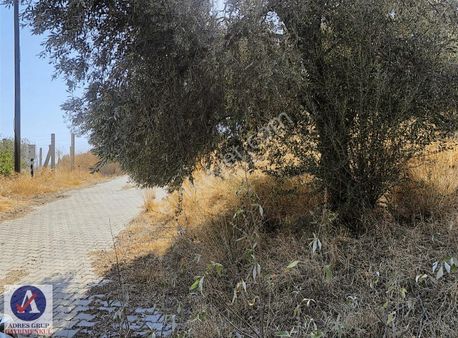 Bayındır Yeşilova'da Satılık Fırsat Arsa