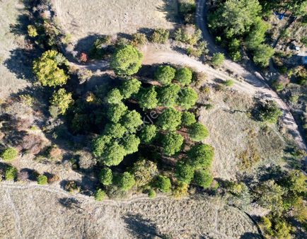 İzmir Bergama Yerlitahtacı Köyü 1403 M2