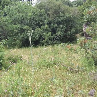 Kozak Çelebi Emlak Tan 2600 M² Müstakil Tapulu Arazi