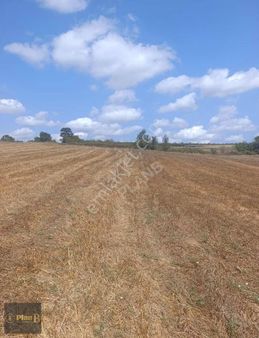 Kandıra Üğümce"de 24167 M2 Çiftlik Ve Sera Yapımına Uygundur