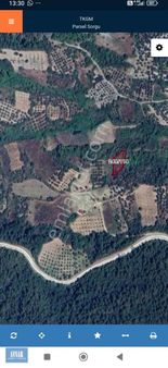 Bilecik Osmaneli Ağlan Köyünde 773 M2 Zeytinlik