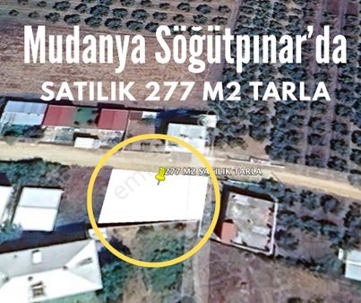 Bursa Mudanya Söğütpınar Mahallesi 277 M² Müstakil Tapulu Arazi