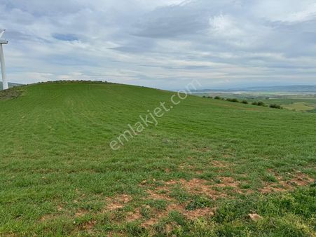 Bandırma Dutliman Mah. Kaçırılmayacak Fırsat Arazi