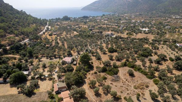 Datça Mesudiye Hayıtbükü'nde Satılık 1.459 M2 Yatırımlık Tarla