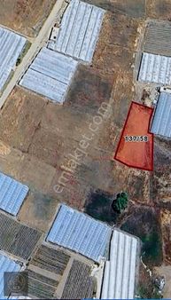 Müren'de Satılık Tarla