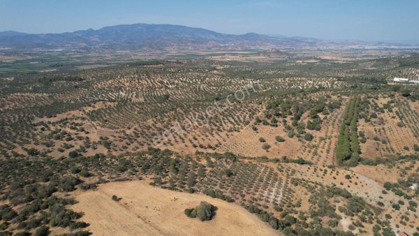 İzmir Bergama Bozköy De İzmir Çevre Yoluna 1 Km