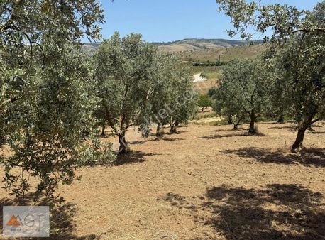 Agt'den İznik Ömerli Mah. İçi Yapılı 7.500m2 Satılık Arsa