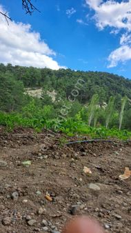 Denizli Honaz Ayıdınlarda 7814m2 Ylo Cepheli Suyu Var Satılık Bahce