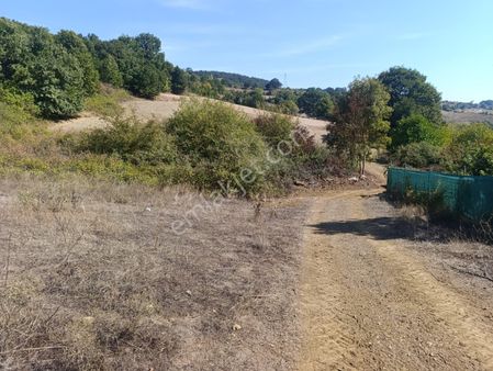 Dialog Skala'dan Kestel Ümitalan Köyü'nde Satılık Tarla