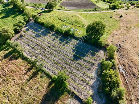 Aras Emlaktan Altıeylül Bozende Satılık Hobi Bahçesi