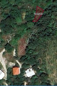 Satılık Tarla - Alanya - Gözübüyük Mah.