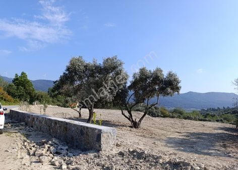 Aydın Kuşadası Çınarköyünde Fırsat Arsa