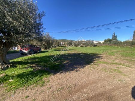 Ayvalık Cunda Da Satılık 3479 Metre Kare İmarlı Arsa