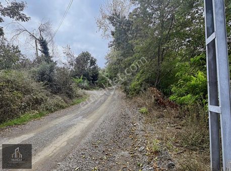 Atakum Taflanda Yatırımlık Satılık Arsa