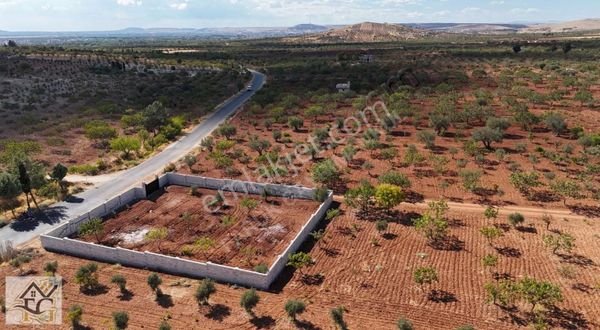 Faruk Emlaktan Asfalta Sıfır 1100m2 Bağevlik Arazi