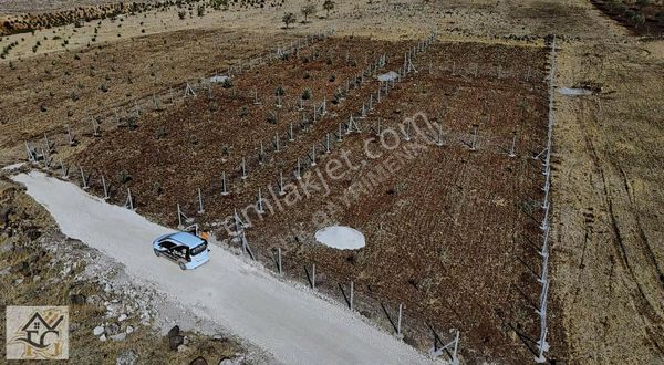 Faruk Emlaktan Yanlızbağ Nafakta 650 M2 Havadar Arazi