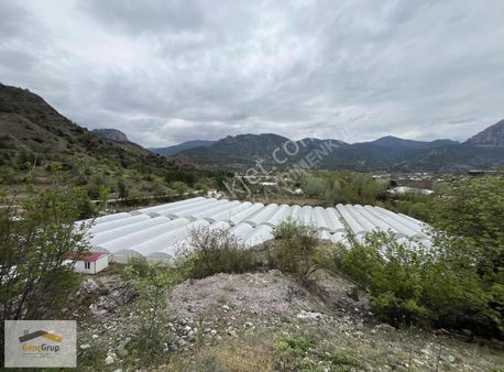 *genç Grup* Nehre Ve Asfalta Cepheli 13.825m2 Kurulu Sistem Sera