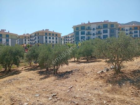 Karacasu Toki 2. Etap İmar Dibi 8.030 M2 Bahçe