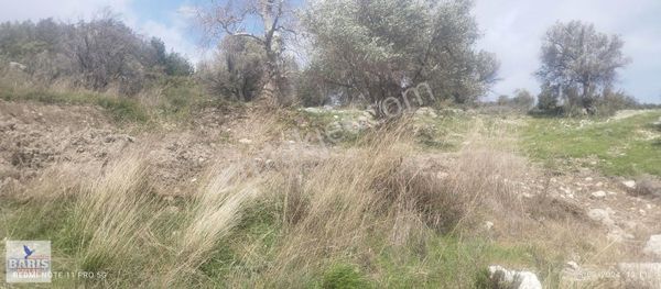 Barış Emlaktan Eğlenhoca Da Satılık Tarla