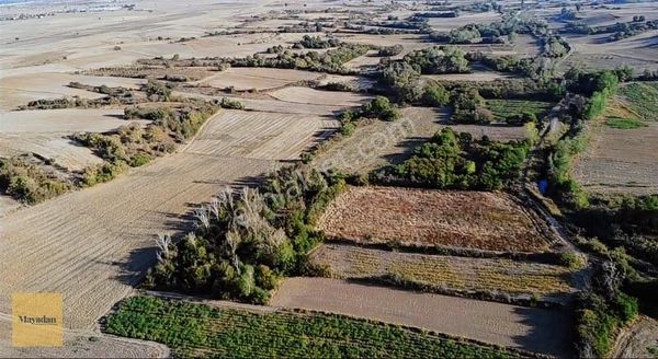 Mayadan Gayrimenkul'den Kırklareli Kavakdere'de Satılık Tarla