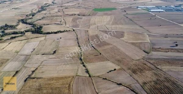 Mayadan Gayrimenkul!den Kırklareli Kavakdere'de Satılık Tarla
