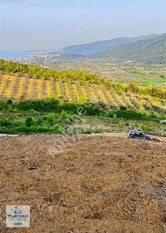 Turyap Körfez'den Çınarçık'ta Deniz Manzaralı Villa Arazisi