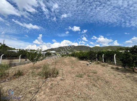 Yalçıdibinde Köy İçerisinde Müstakil Tapulu Ev Ve Arsası