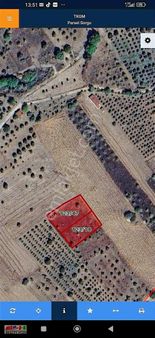 Bilecik Gölpazarında Satılık Tarlalar