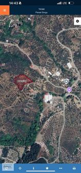 Mudanya Işıklı Hobi Bahçeler Bölgesinde