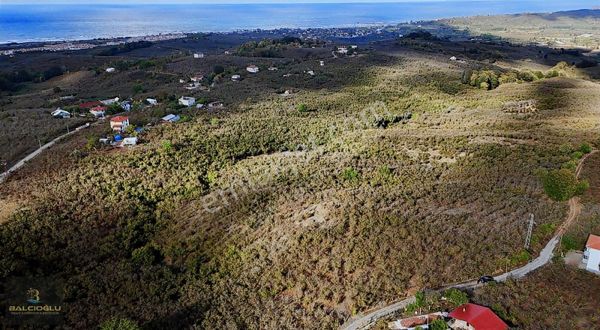 Balcıoğlundan Satılık Muhteşem Deniz Manzarlı Ruhstlı İmrlı Arsa
