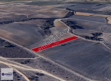 Konaştan Edirne Havsada Satılık Tek Tapu Tarla