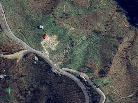 Delta Gayrimenkul'den Bulancak Eriklik Köyünde Fındık Bahçesi