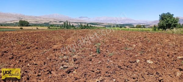 Doğanşehir De Yatırımlık Arsa