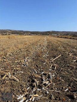 Vize Devlet Mahallesinde Yola Cephe Satılık Tarla