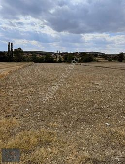 Vize Pazarlı Köyünde Yola Cephe Köye Yakın Satılık Tarla