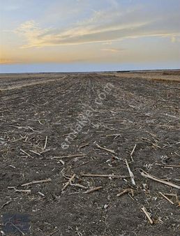 Vize Hasbuğa Köyünde Yola Cephe Köye Yakın Satılık Tarla