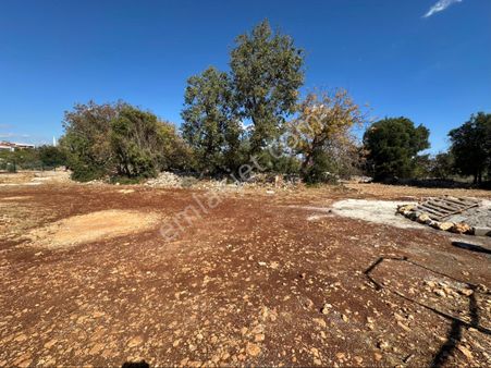 İmamlı Yeni Bahçe 450 M2 İmarlı Arsa