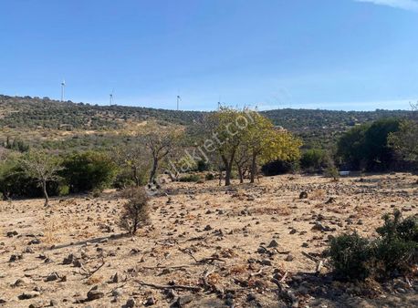 Nevi Gayrimenkulden 25.800 M2 Yatırımlık Arazi