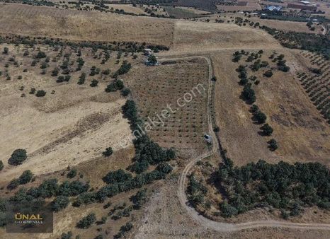 22 Dönüm Fırsat Arsa