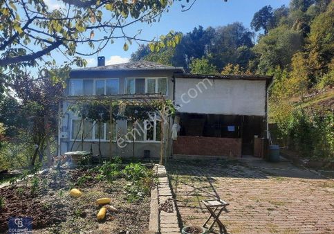 Hamidiye Icinde Bag Evi Bulunan 2186 M2 Satilik Arsa