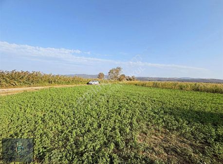 Ayaz Köy'de Satılık 645 Metrakare Yatırımlık Tarla