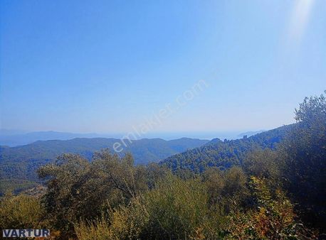 İnşaat Ruhsatı Hazır,180 Derece Deniz Manzaralı 5010 M2 Satılık