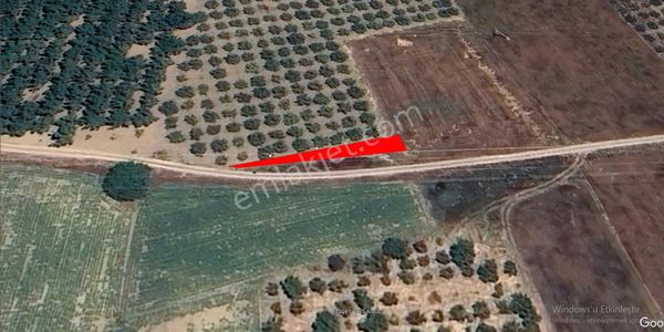 Roma' Dan Şehitler' De Satılık Tarla