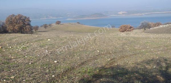 Manisa Salihli Acil Satılık Baraja Sıtur Tarla