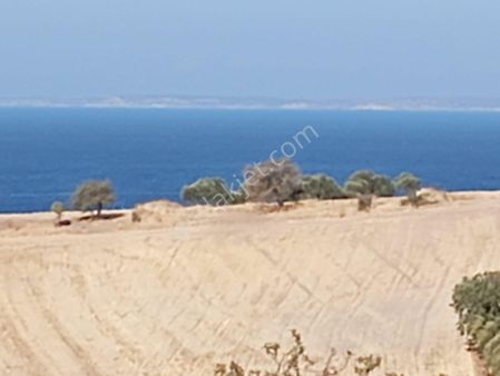 Olcaysu'dan Muhteşem Manzaralı Şok Fiyata 6040m2 Kelepir Tarla